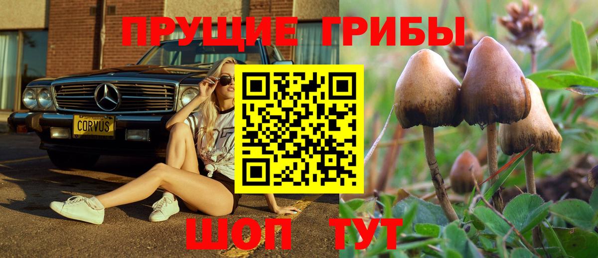 Галлюциногенные грибы MAGIC MUSHROOMS Торжок