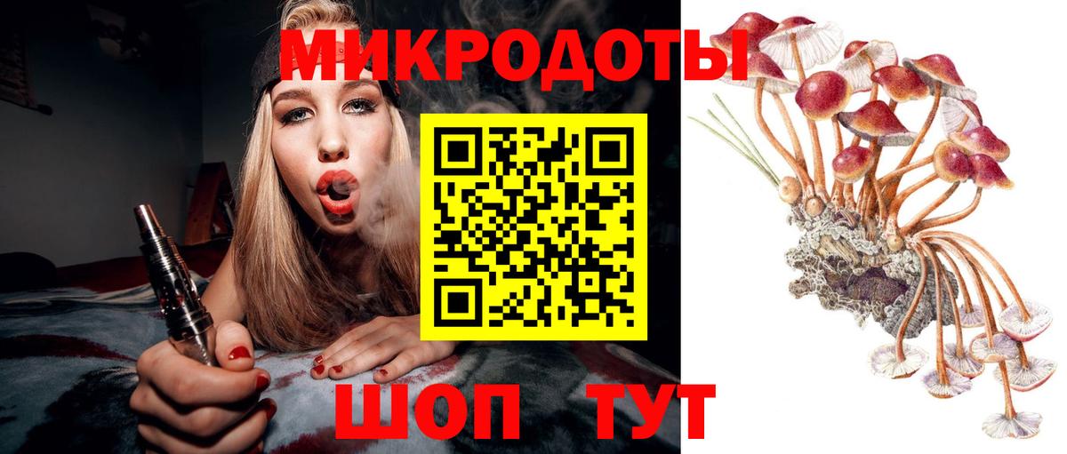 Псилоцибиновые грибы GOLDEN TEACHER  как найти наркотики  Торжок  Вход с VPN 